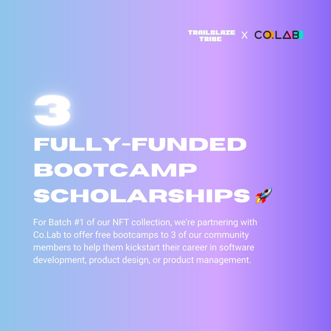 Trailblaze Collective tweet media