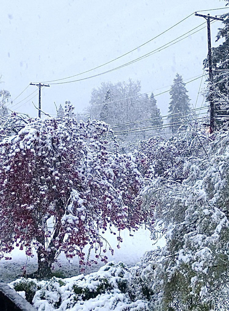 van_cooley's tweet photo. It hasn’t snowed in Portland Oregon in April for over 80 years. #oregonspring #mondaymorning #snowday https://t.co/LMESUGgrrd