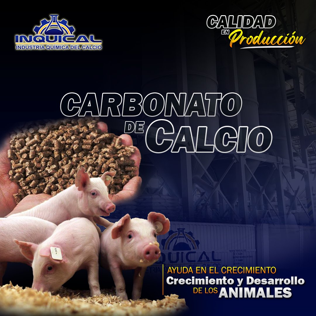 El Carbonato de Calcio, aplicado como complemento en el alimento y dieta de los animales; fortalece sus músculos, huesos, tendones, sistema nervioso y corazón. Además aporta grandes beneficios para su desarrollo, nutrición y crecimiento. En Inquical producimos lo mejor para ti 📲