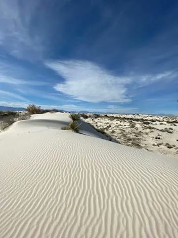 HellBentXpress's tweet photo. #AmericaIsBeautiful. Some sand dune love for your Monday. #SeenOnTheRoad #ProfessionalTourists https://t.co/HsSvJSo06t