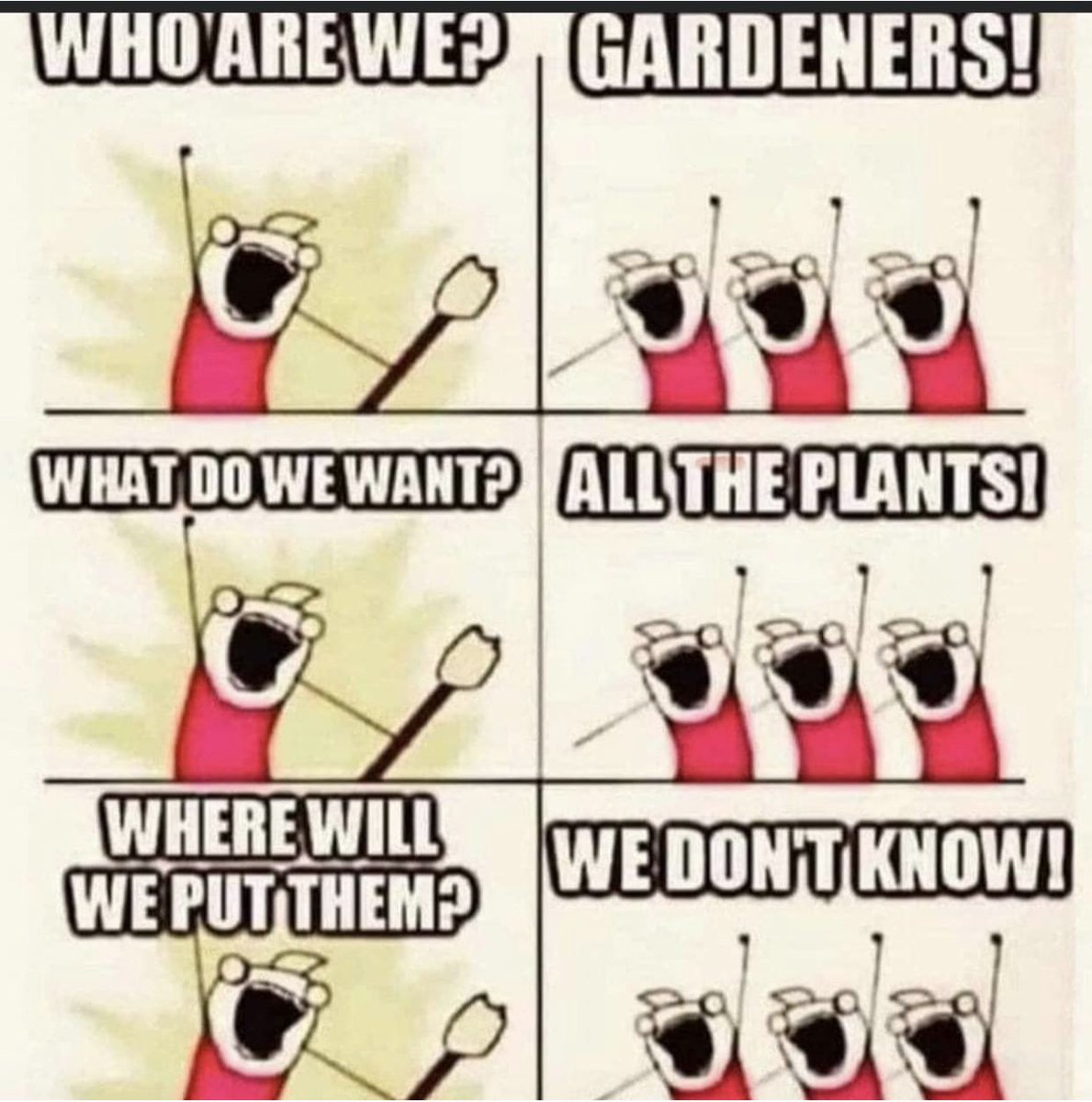 schnappsfan's tweet photo. @BishyGardens https://t.co/Xlb94q4ZDo