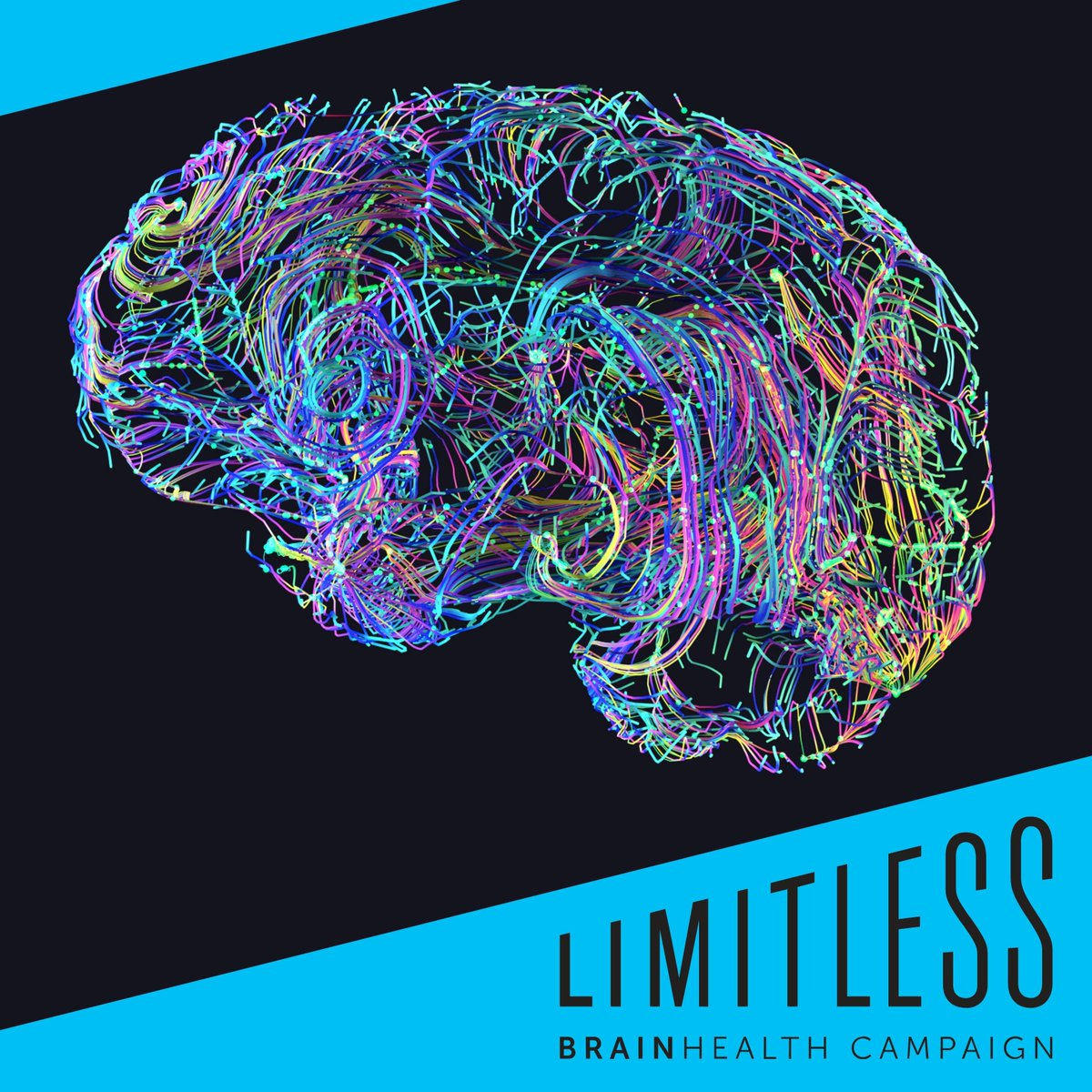 BrainHealth's tweet photo. Excited to share that we've just received our largest single corporate investment EVER. Thank you Sammons Enterprises for your visionary support! Moves Limitless campaign 60% of our $50M goal. Get involved. #limitlesspotential #limitlessimpact #limitlessfuture #brainhealth https://t.co/u7MiSZa2vT