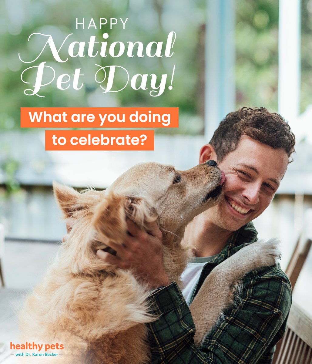 IT’S A VERY SPECIAL DAY FOR OUR FUR BABIES. 🐱🐶 
What you are doing to celebrate #NationalPetDay? 📸

Today’s free article is about the gifts our animals give us every day: dlvr.it/SNNNm0