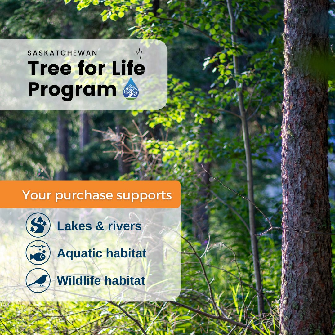 The Saskatchewan Tree for Life Program is accepting tree orders until May 1! 🌲

Your purchase will help to support programs and projects that improve water quality in lakes and rivers and provide and sustain wildlife and aquatic habitat. 
Visit …katchewan-tree-for-life.myshopify.com to order!