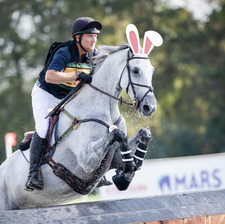 Maryland5Star's tweet photo. Hoppy Easter from the Maryland 5 Star at Fair Hill!🐰🥚🌷 #happyeaster #easter #bunny #horse #equestrian #eventing #Maryland5Star #CCI5 #5Star #cecilcounty 📸 #shannonbrinkman https://t.co/YmT1zHPMLc
