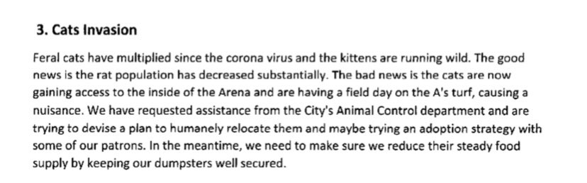 CaseyAPratt's tweet photo. The year is 2022. Feral cats have invaded the Oakland Coliseum complex. #drumtogether https://t.co/IF26o1AQhg