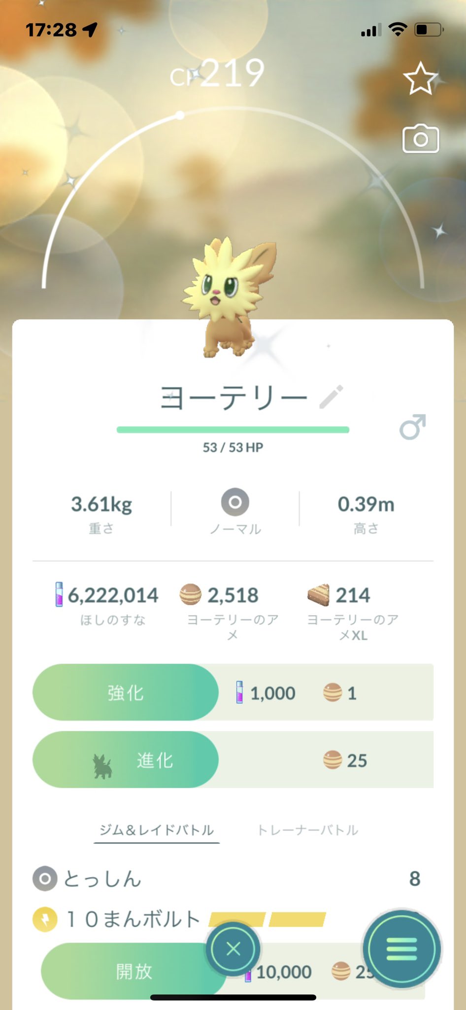 ヒロキ Miyupoke Go Miyumさん ヨーテリー 色違いおめでとうございます 色違いハーデリア 良いですよね Twitter