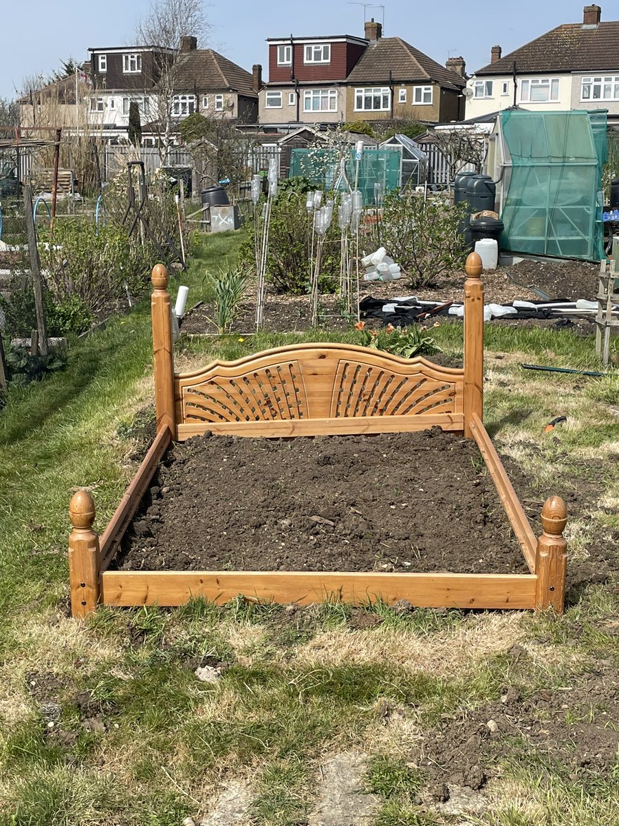 TColvin78's tweet image. My new bed at the allotment is ready for planting

 #GardensHour