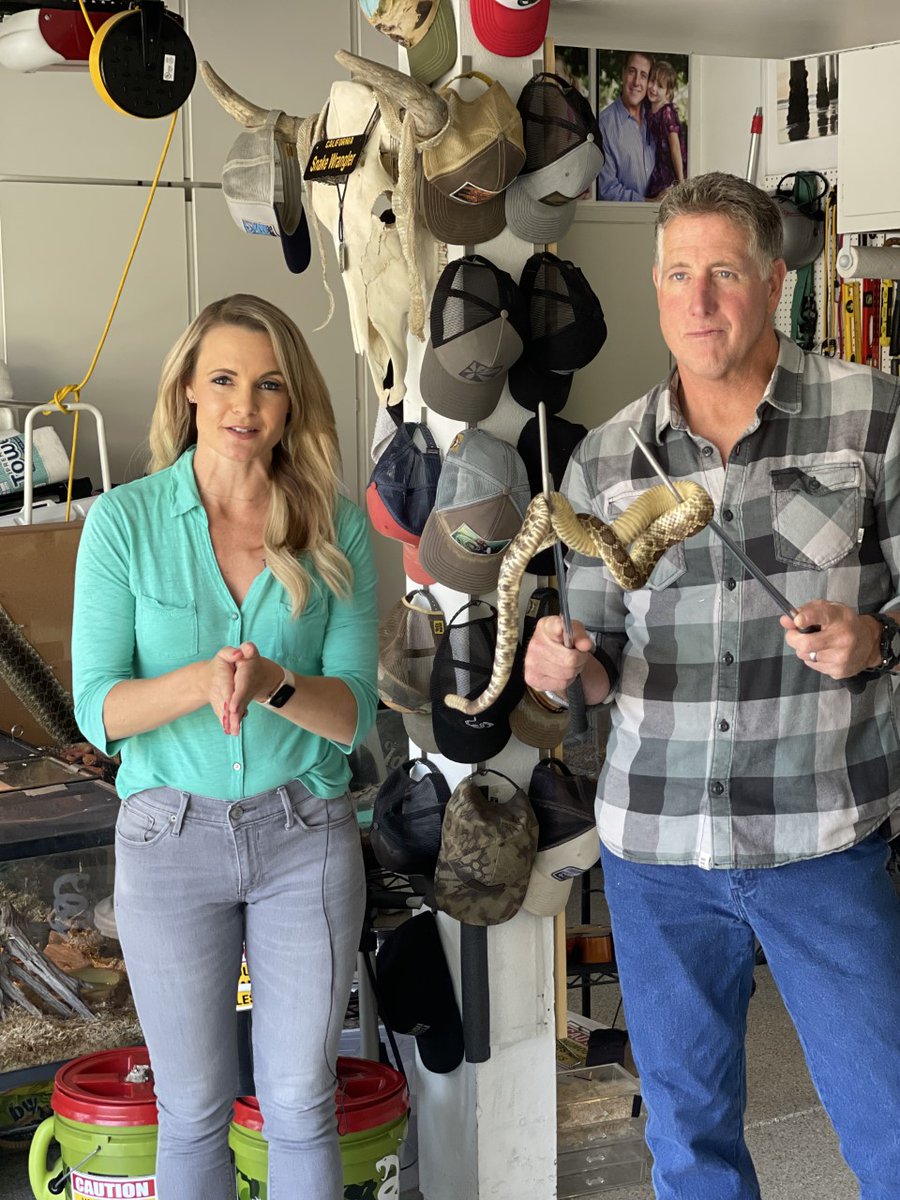 Learned today that @shannonnews8 has a huge fear of snakes and was NOT happy with her assignment this morning.  Notice that didn't stop her from reporting right next to a live rattler.