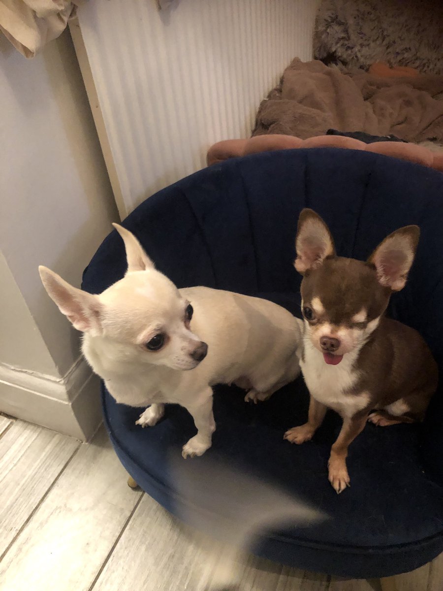 <a href="/AlienMobNFT/">Alien Mob | Launching in May</a> <a href="/SkyCrucible/">Sky Crucible ⚔️</a> ‘Sup fam. What ya sayin’ ? @KsSsic