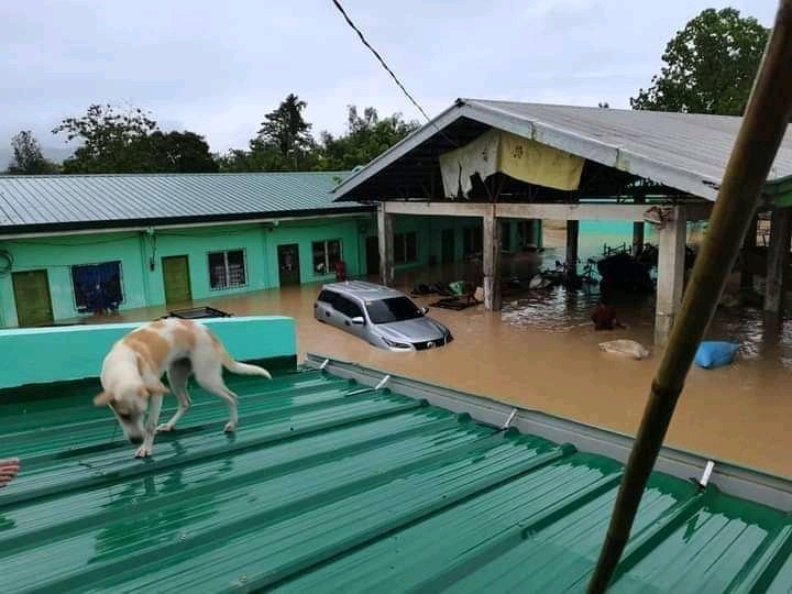 reese_in_peace_'s tweet photo. ‼️Current situation in various Panay Provinces due to #AgatonPH Sobrang dami na po need i rescue. Nasira na din po yung tulay sa Dingle, Iloilo @lenirobredo #ProtectAikaRobredo Please #CapizNeedsHelp #IloiloNeedsHelp #BaybayNeedsHelp #VisayasNeedsHelp #PanayNeedsHelp https://t.co/FnujhrA5WD
