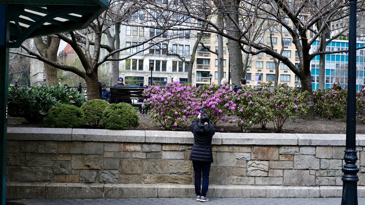 trying out a new 35mm f/1.4 lens #fujifilm #nyc
