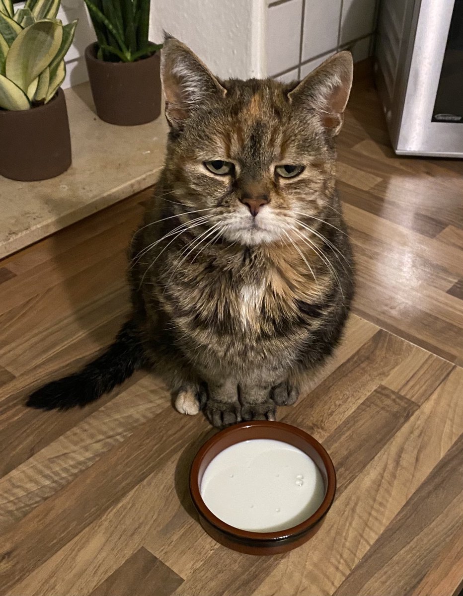 Sylvie hat einfach so heftige Moderationsskills, da fiebert man richtig mit
#LoveIsland
#LoveIslandde