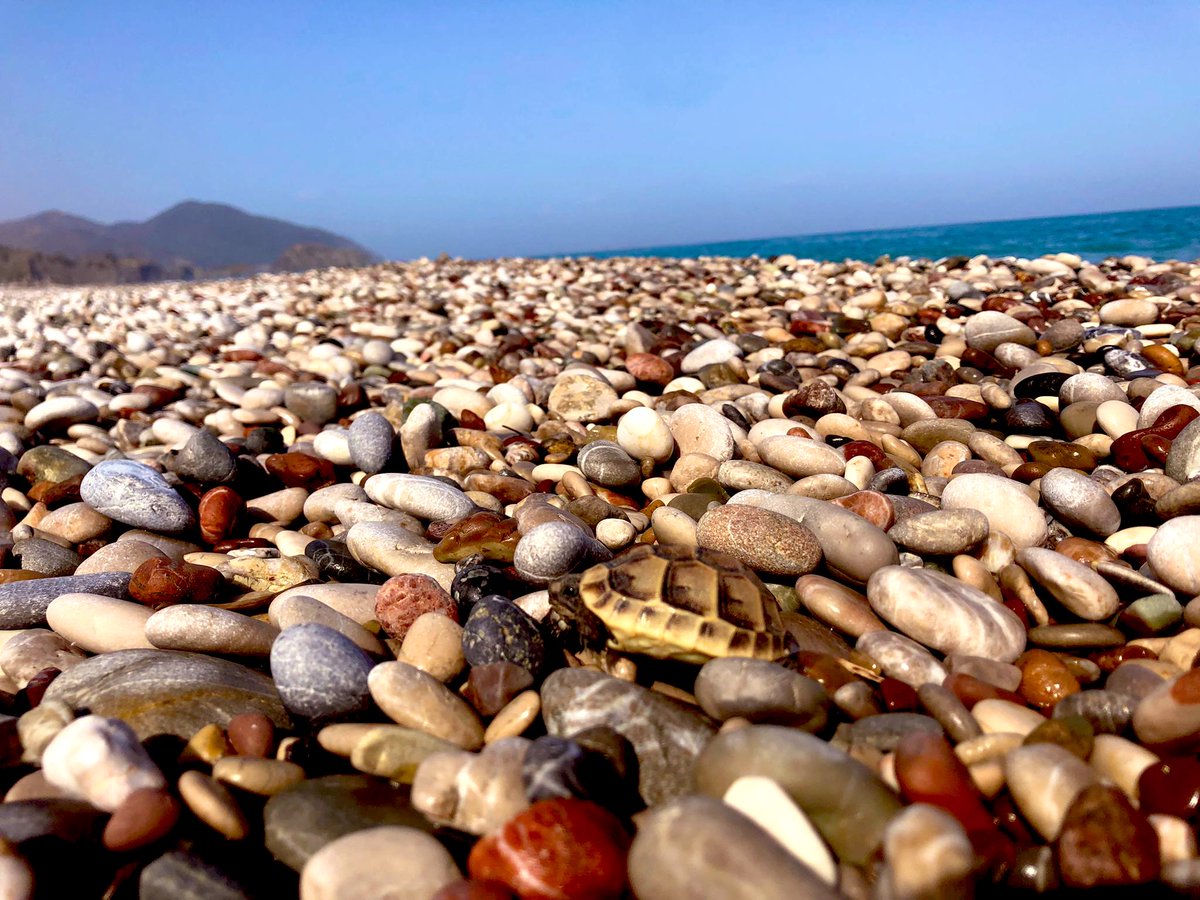 Deniz arkanda kalıyor ama yine de sen bilirsin
