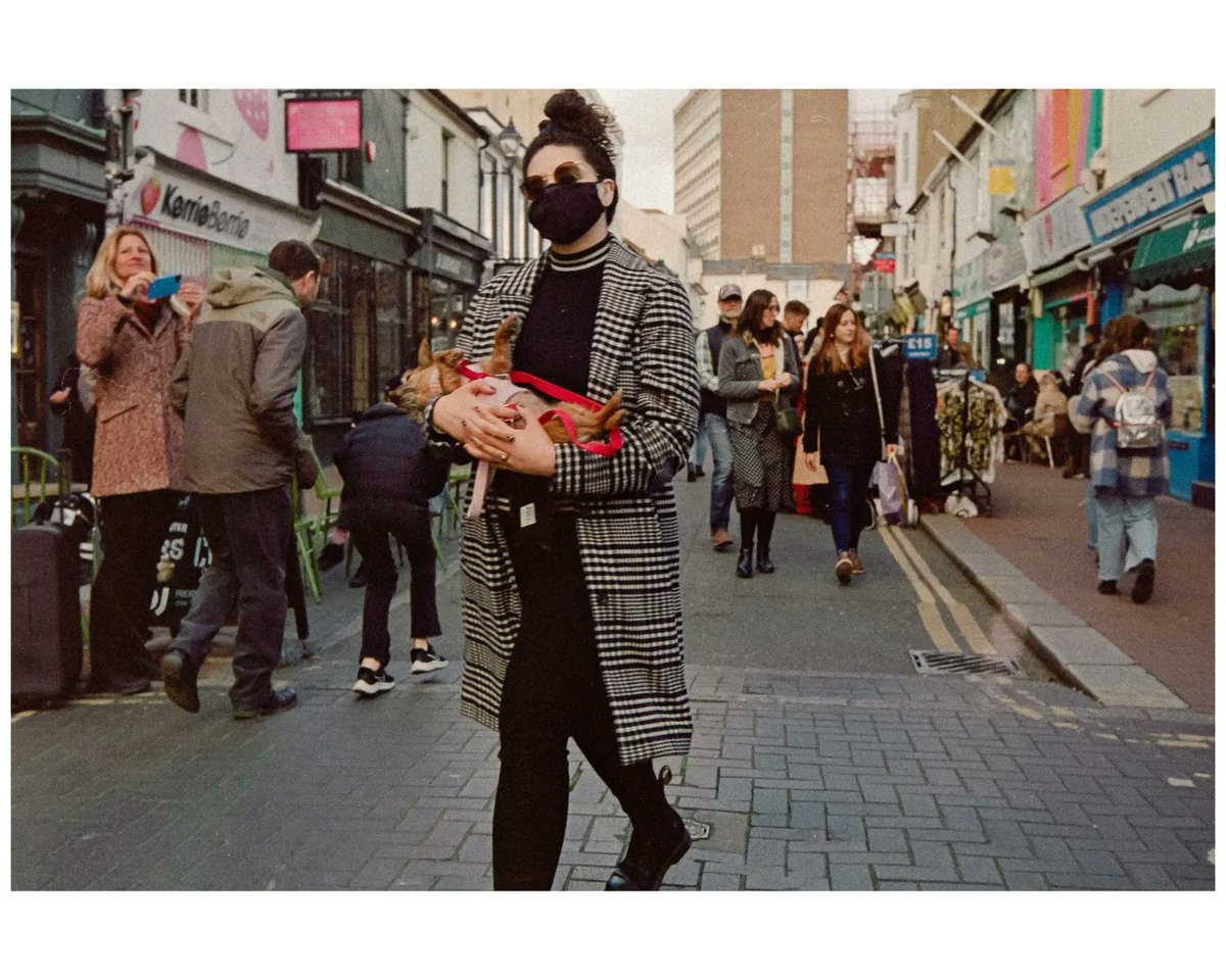 FromMyLens tweet media