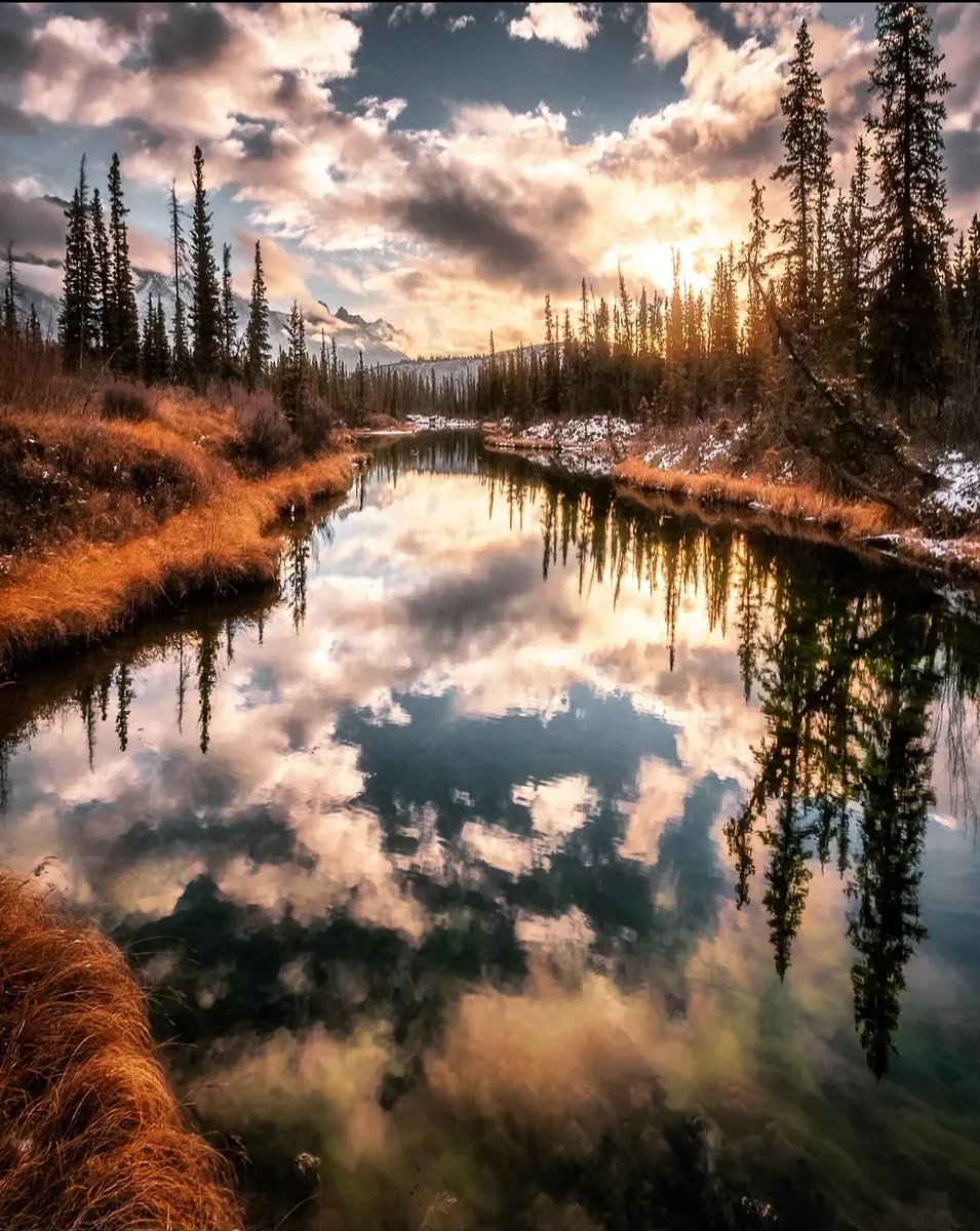 danschyk's tweet photo. Jasper reflections... https://t.co/Yi36FD1igP