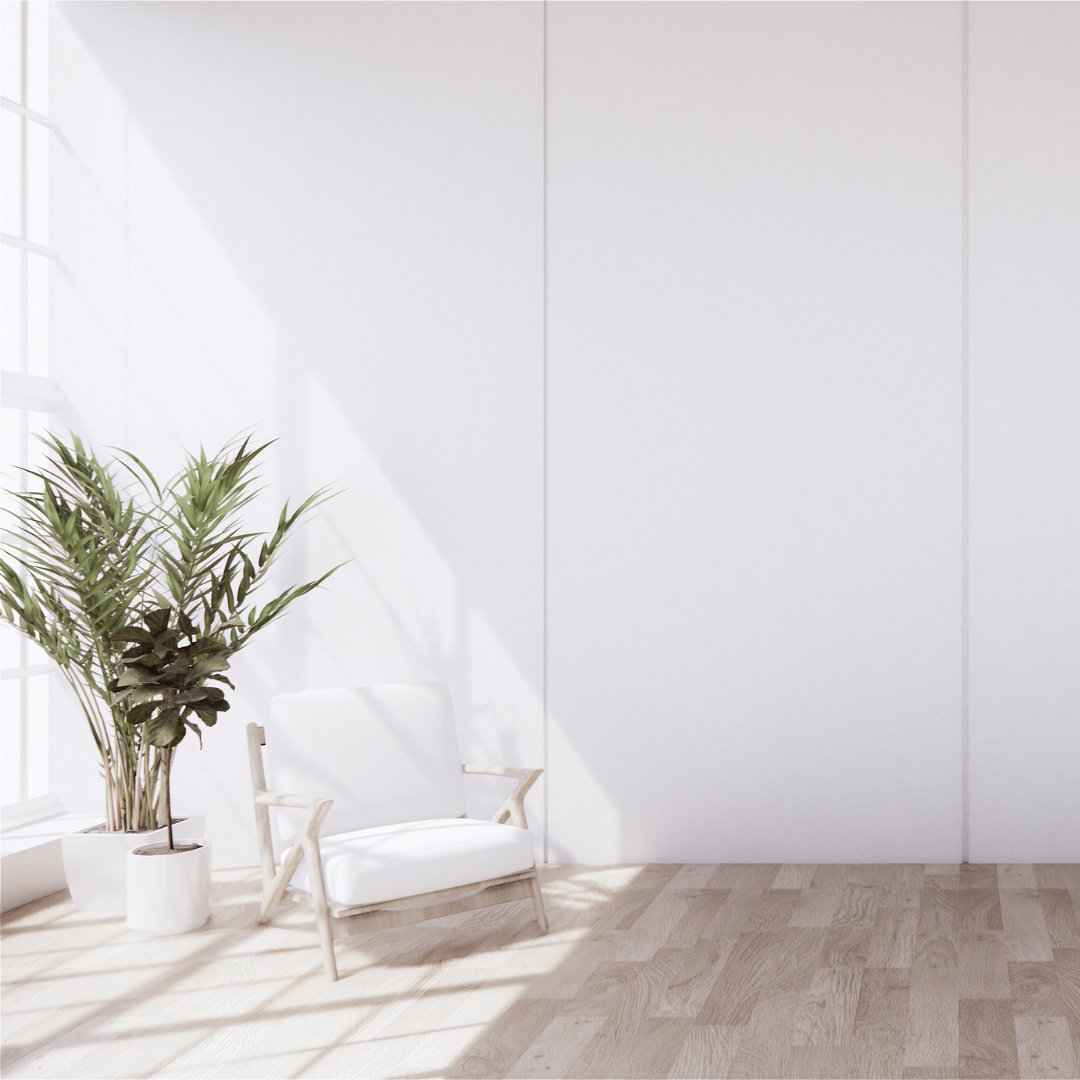 #ａｅｓｔｈｅｔｉｃ 🌱 

#softaesthetic #aestheticlife #annieoak #annieoakjewellery #jewellery #sustainability #sustainable #sustainableliving #aestheticfeed #aestheticposts #plant #plantlover #plantlife #aethetics #asthetics #aestethic #aes #aesthetically