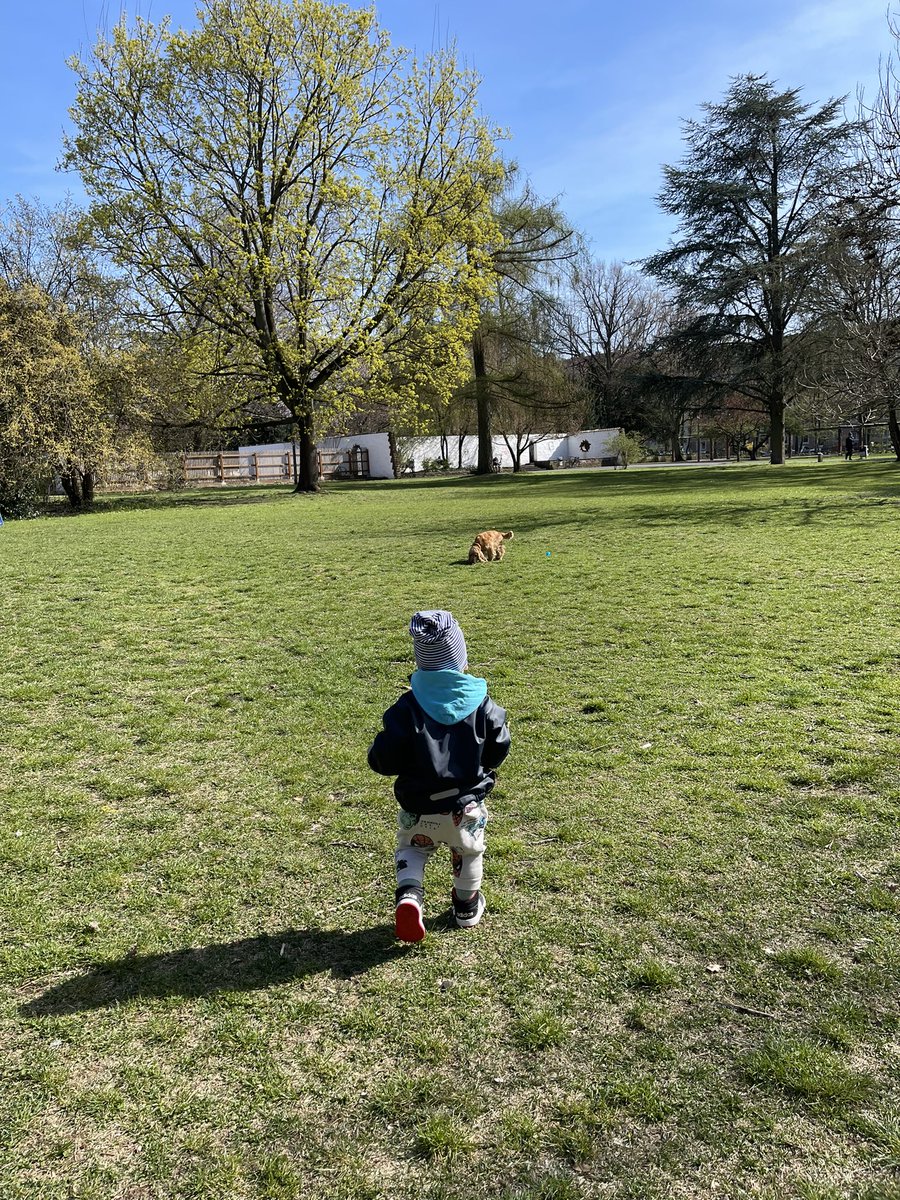 TeutaRashiti's tweet photo. After he saw a dog with a stick on his mouth, he thought that’s what dogs eat. He then tried to pick as much as he could and was chasing the dog to feed. https://t.co/f3CtVm7M5Z