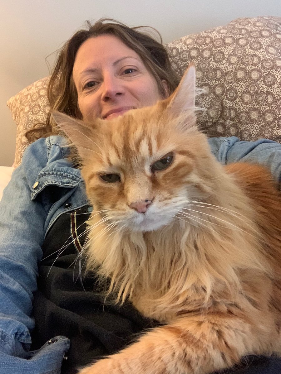 michellemaloner's tweet photo. somebody's glad i'm home! #CatsOfTwitter #cats #catpeople #monkeyboymalone https://t.co/LNnu0wfyIl