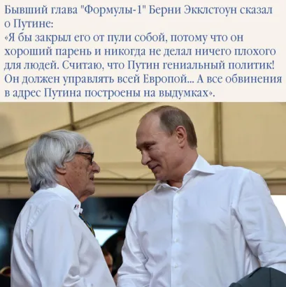 Кот с примусом tweet media