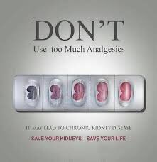 DrAlkhodairy's tweet photo. للأسف البعض يعتقد أن إستخدام المسكنات( كالبنادول والفيفادول وبنادول نايت والبروفين و...الخ)أمر عادي وليس له أضرار جانبية!بل إن الاستمرار عليها لفترة طويلةوبدون اشراف طبي وبدون سبب صحي قد يسبب تلف للكلى  وتدمير للكبد، هنا رسم توضيحي لتلف الكلى بسبب الادمان على المسكنات لعدة أشهر https://t.co/OCojOJPcCa