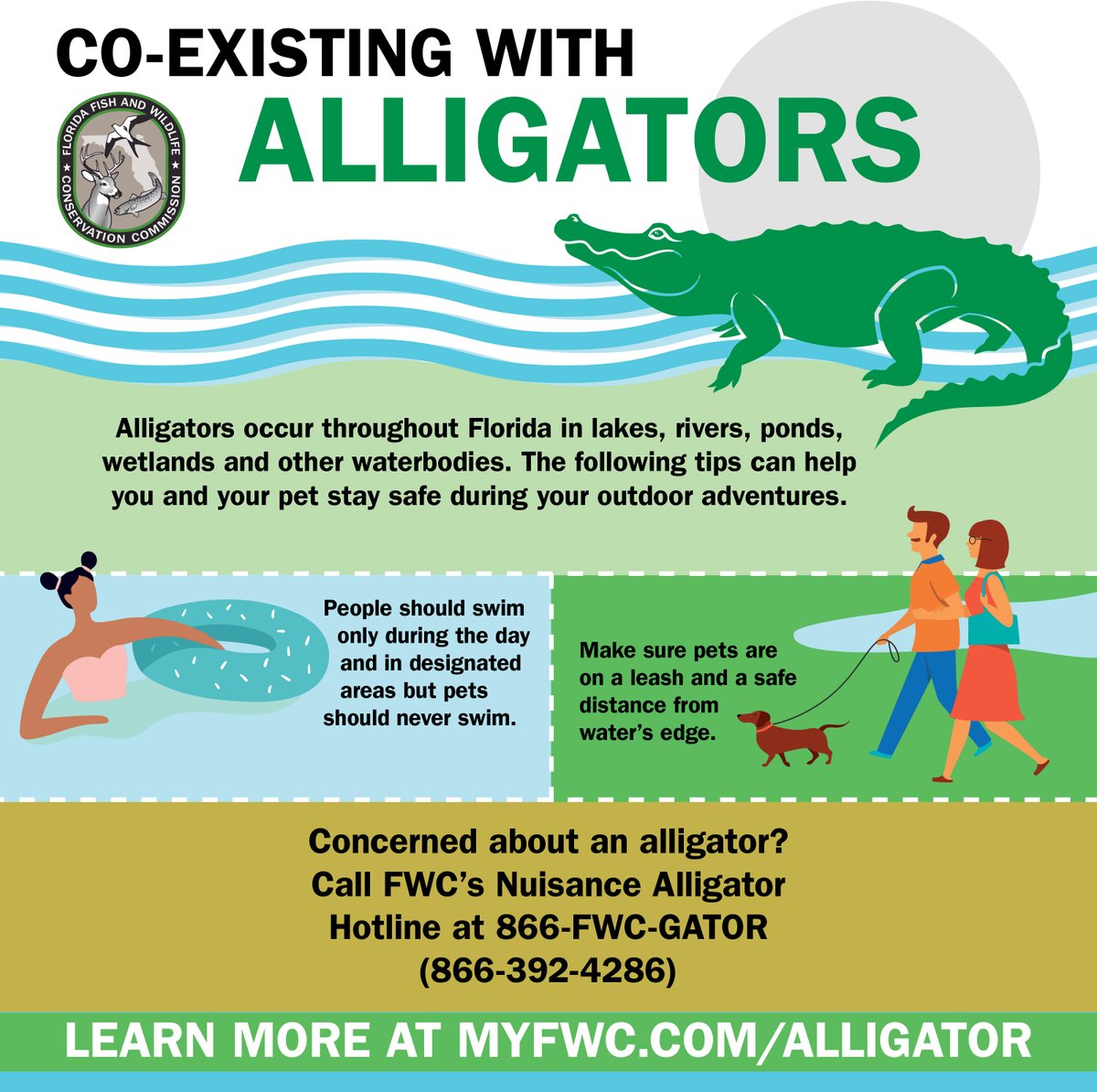 Planning to be in or near the water? Reduce the chance of conflict with #alligators by following this advice ow.ly/pAo750IGKRM #Florida
