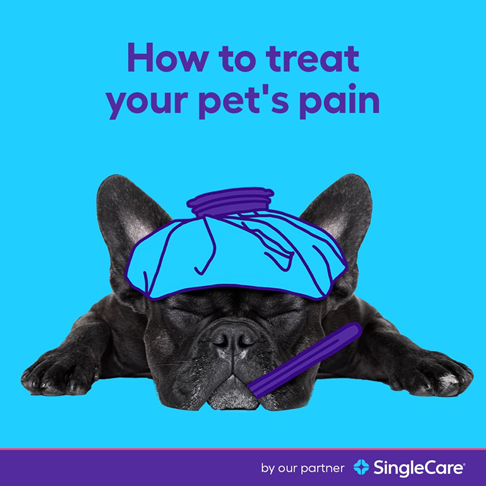 Some human pain relief prescriptions can also be used for your pet! Here's a list—and how to save using our partner <a href="/SingleCare/">SingleCare</a>'s discount card! Don't forget to ask your vet before using. 
singlecare.com/blog/pain-reli…