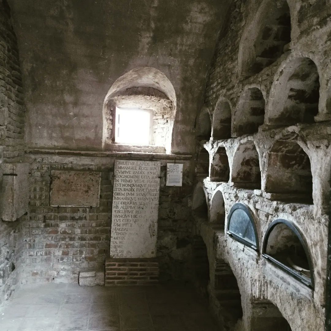 Axarquia MGusta tweet media