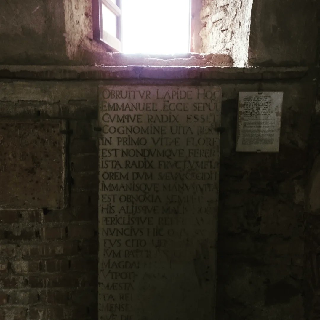 Axarquia MGusta tweet media