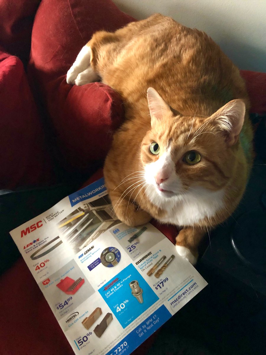 MSC_Industrial's tweet photo. Happy #NationalPetDay2022!
Be sure to get your paws on the MSC Metalworking flyer (or any of our other MSC publications) on https://t.co/FRvxd5nGHZ. 😊
#PetDay #builttomakeyoubetter #metalworking https://t.co/M2Frho9R0f