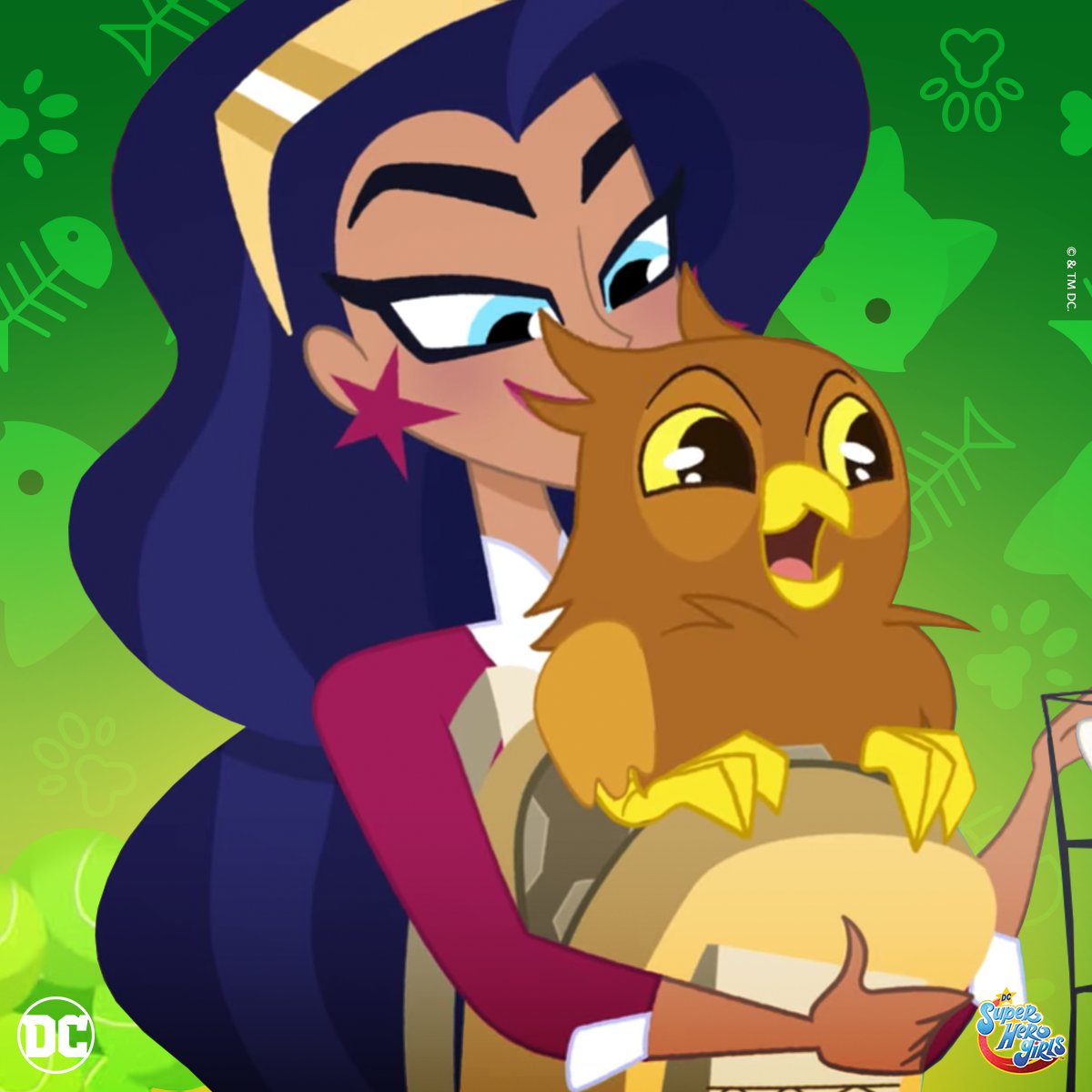 DC Super Hero Girls tweet media