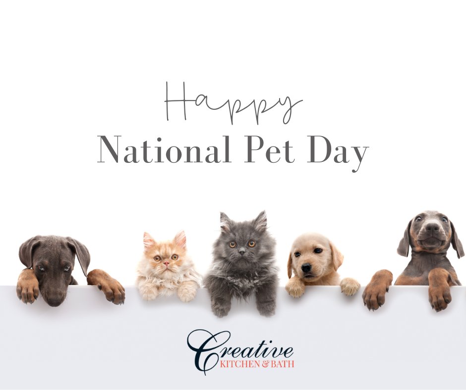 ckandb's tweet photo. #NationalPetDay

#ckandb https://t.co/zLNSwFtoN3