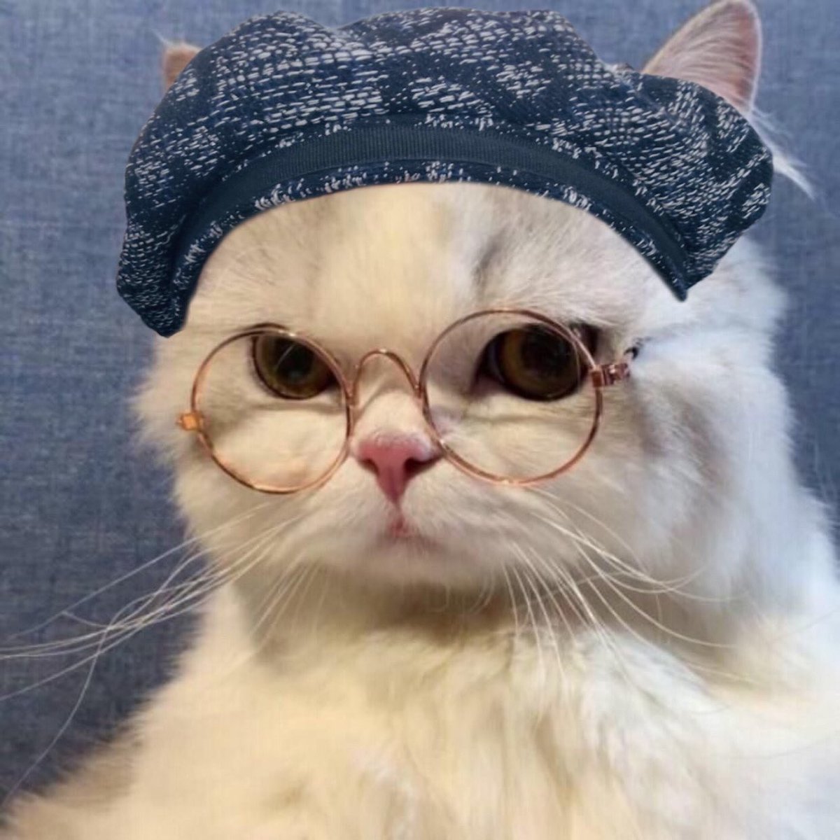 yoonie softbot⁷ rest 🐱🍊 tweet media