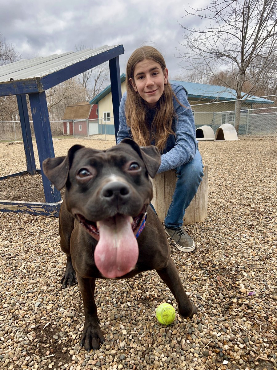 I’ve Pet That Dog tweet media