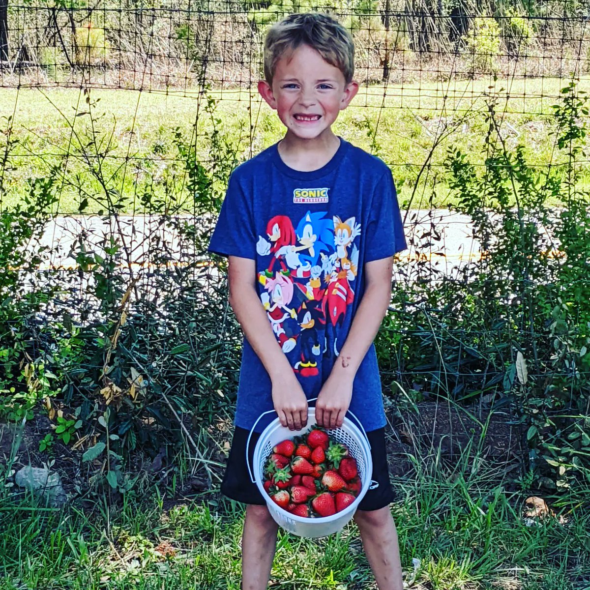 JPersinski's tweet photo. Berry season! ๐ #berries #april #pickthemall #eatthemall https://t.co/dXN0nSOGTc