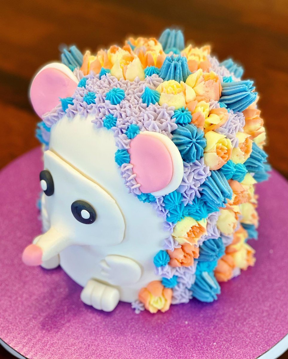 HomeMixin's tweet photo. The cutest little hedgehog I’ve ever seen! 😍 https://t.co/LEM5Xei884
