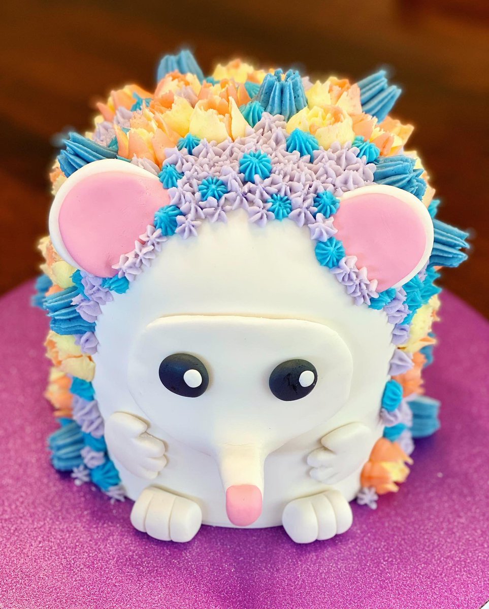 HomeMixin's tweet photo. The cutest little hedgehog I’ve ever seen! 😍 https://t.co/LEM5Xei884