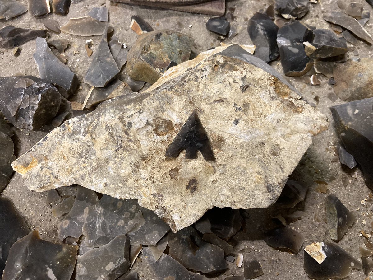 We’ve been serenaded by the sounds of #prehistory recently during <a href="/PrimitiveTechUK/">Karl Lee</a>’s flintknapping workshops. Still to come are his pressure flaking (intermediate) &amp; gun flint workshops for those who want to try to further their ancient skills…
berrycrofthub.com/store/c1/Featu…