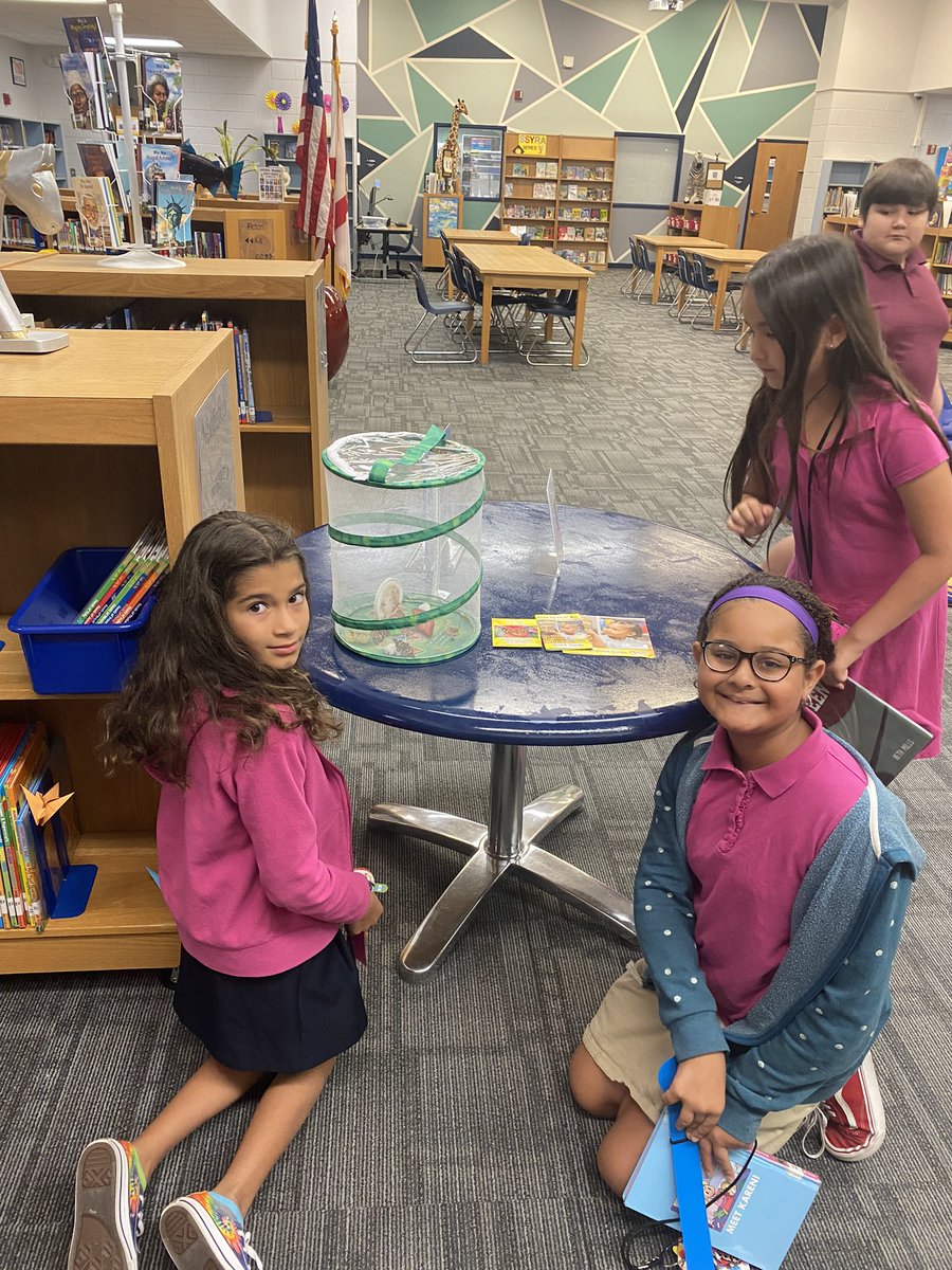 SchnellerMs's tweet photo. Our butterflies have hatched!! @TommieBarfield #paintedladybutterflies https://t.co/0FtlCvbnqq