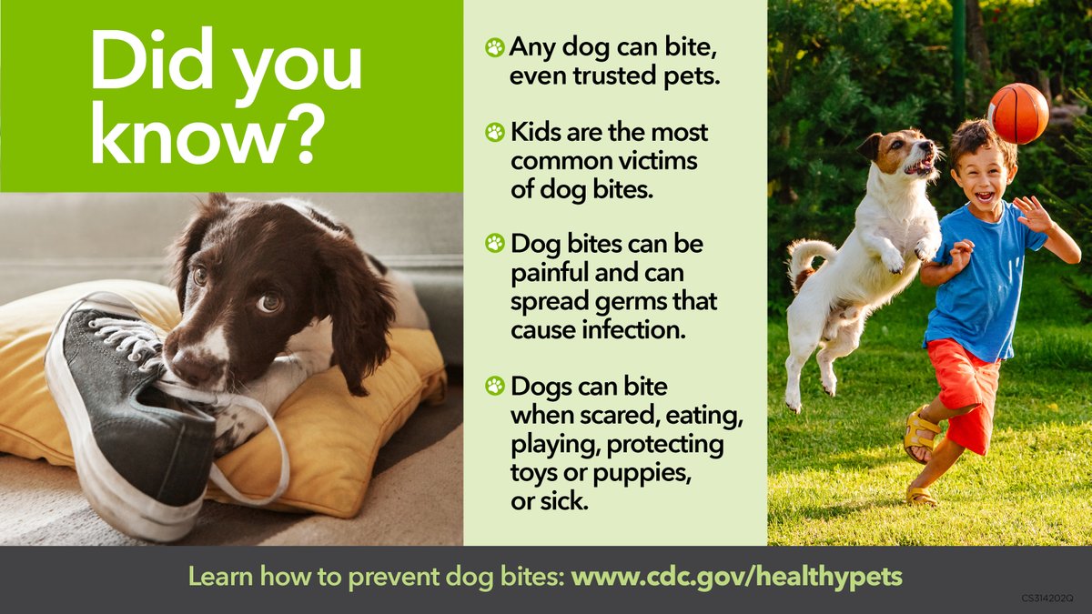 #DYK? Most dog bite victims are kids. Teach your child how to safely interact with dogs – even trusted family pets. 🐶

Learn more: bit.ly/cdcdogbite.
#PreventDogBites