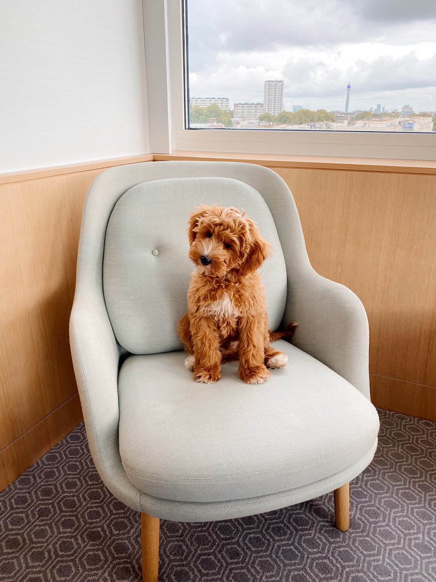 Our spacious suites are pawfect for family stays this Easter 🐾 #Easter #family #halfterm #bankholiday