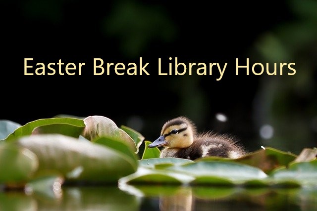 BurkeLibrary tweet picture