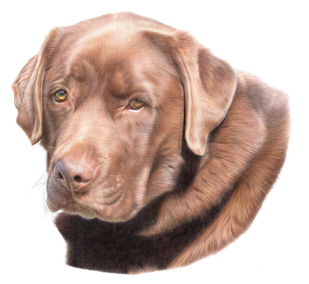 ems_pawtraits's tweet photo. NATIONAL PET DAY 🐶🐱 

I don’t think it will come as a surprise to anyone, but I LOVE pets!🥰

What’s better than a cuddle with your dog, or their endless excitement over going for a walk?! 

Let me know below what you love about your pet the most?🥰 #NationalPetDay #PetDay https://t.co/BX9fr3dlfC