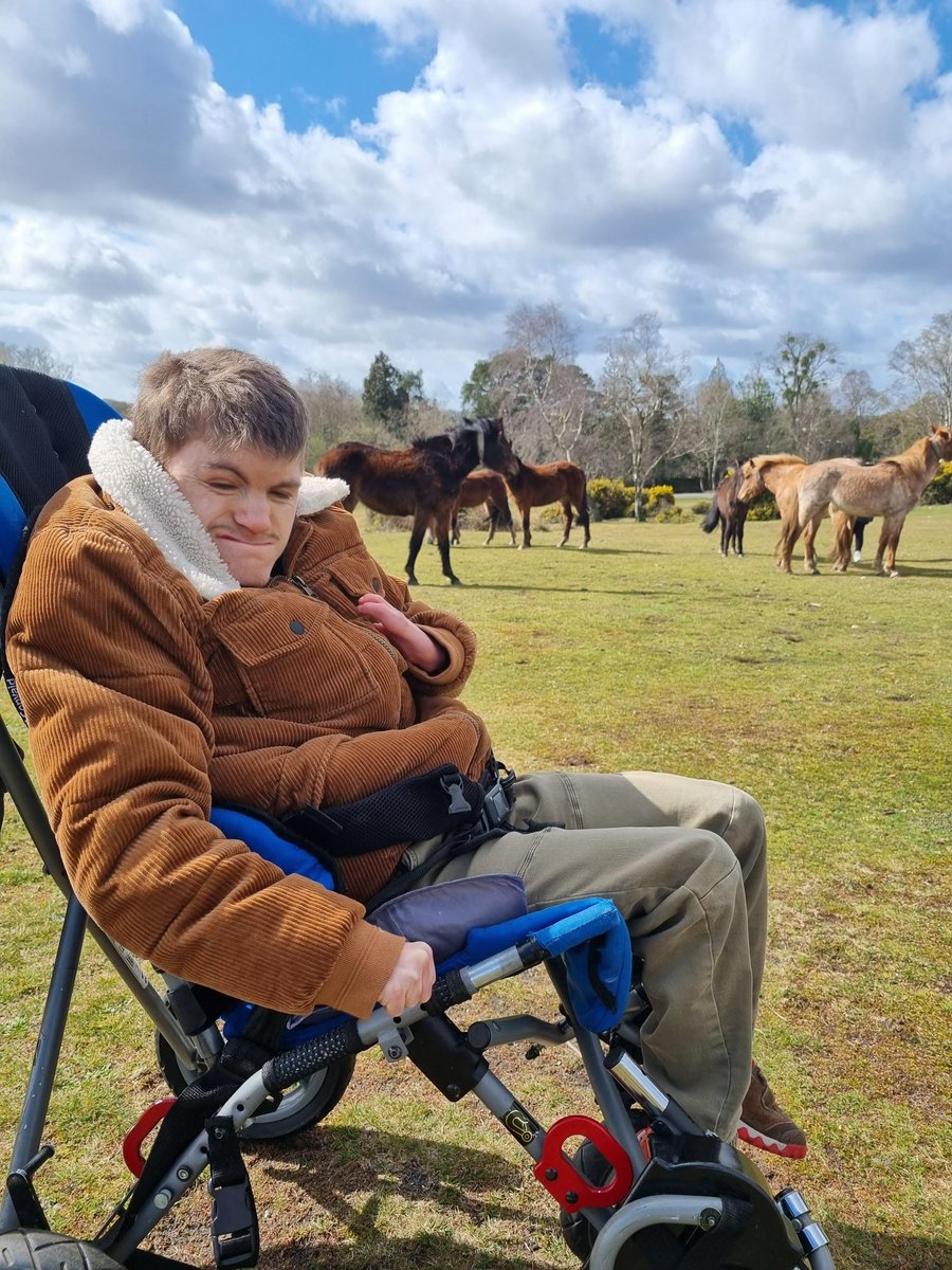 Rose_Road's tweet image. We had such a lovely day in the New Forest seeing the ponies 🐎🐎! It was great for K to be able to explore and enjoy some running around in the fresh air #NatureForWellbeing 🌳 ❤️ 😄