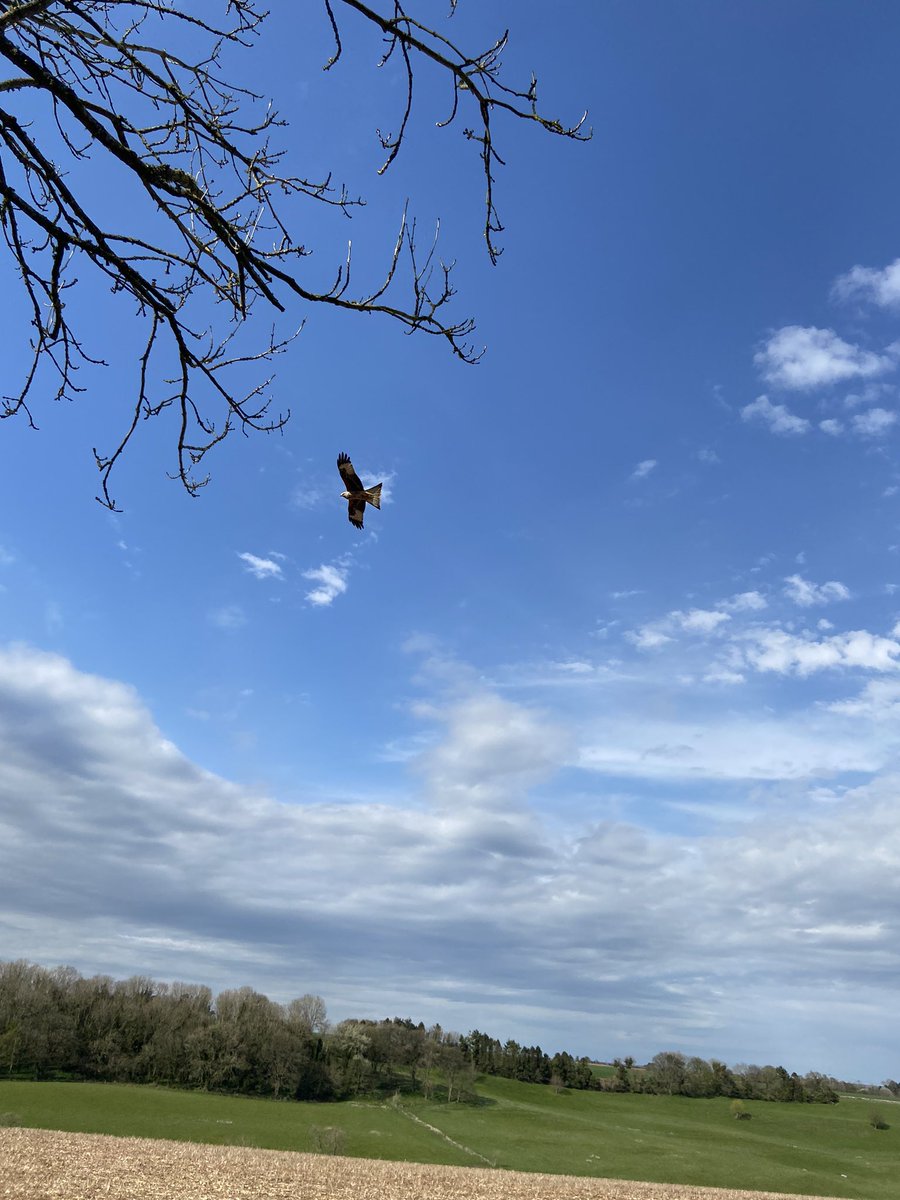 Joanna Poole 💙 (@jopodr.bsky.social) tweet media