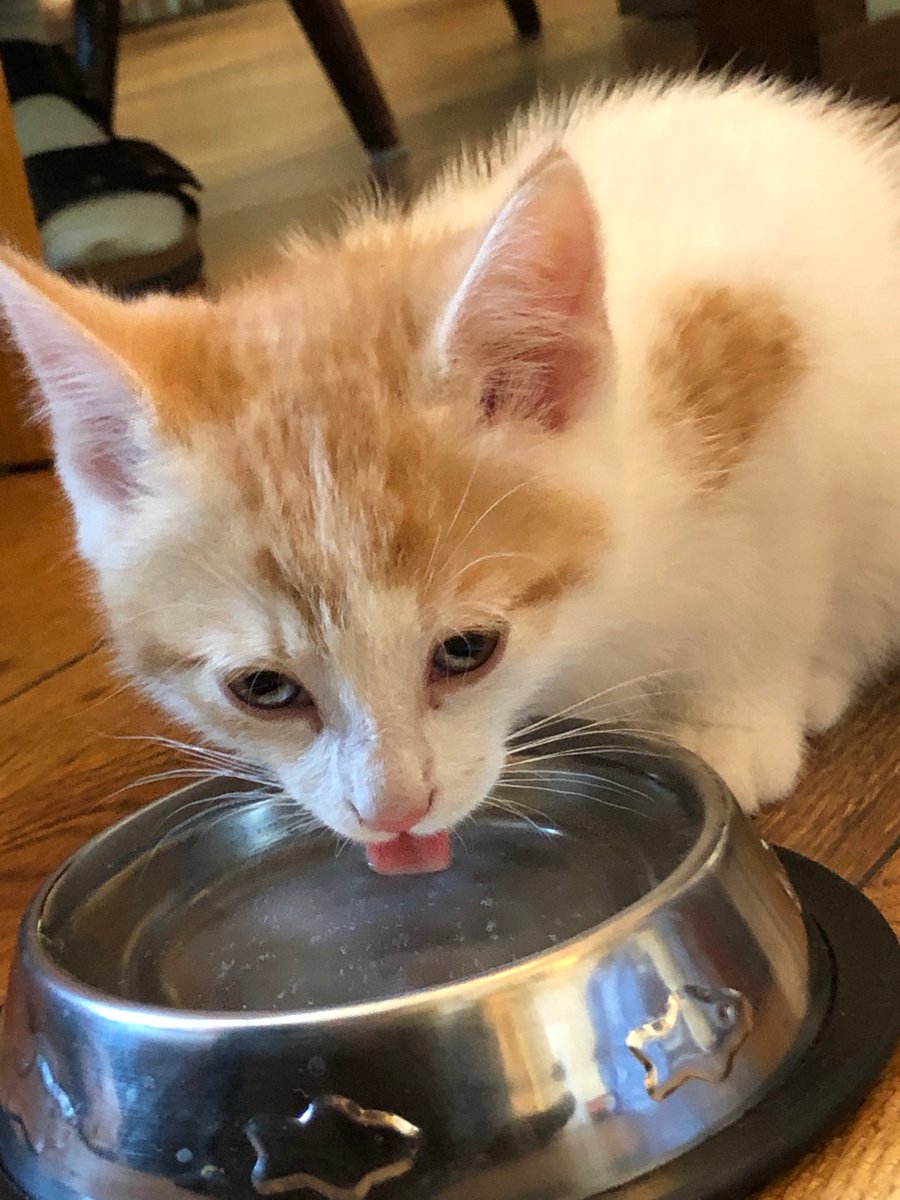 stefan.vigfusson@gmail.com tweet media