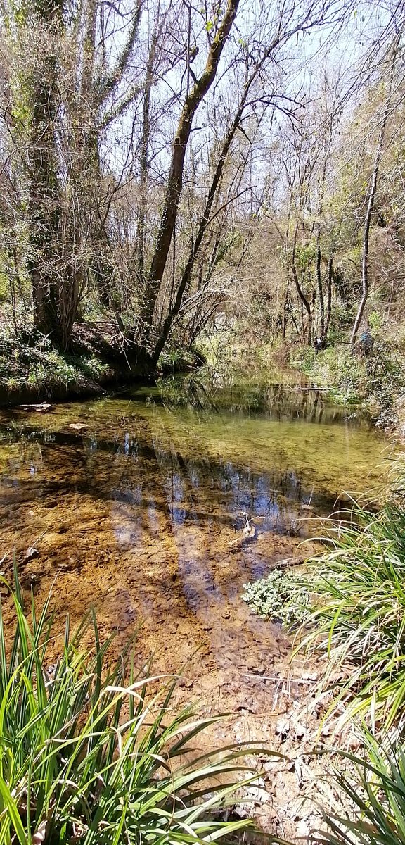 CELlinarsValles's tweet photo. #sommuntanya #cellv #feec #excursionisme #excursionismecatala https://t.co/LzWTv05elV