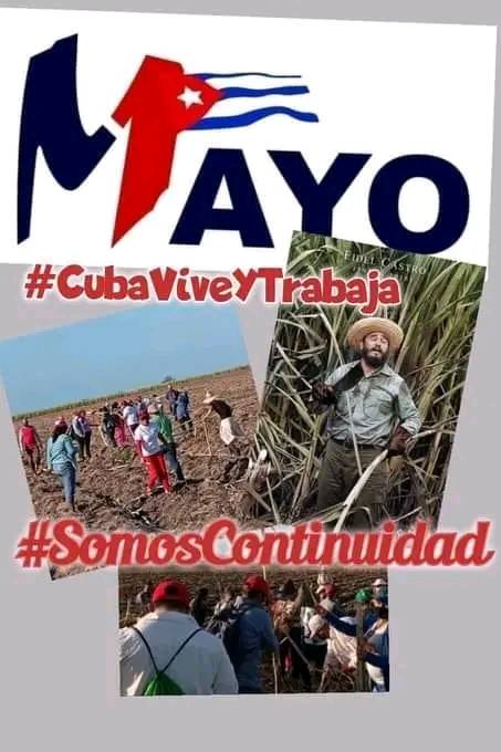 #CubaViveyTrabajo
#CubaViveyRenace
#VamosconTodo
#PinardelRío
#Cuba