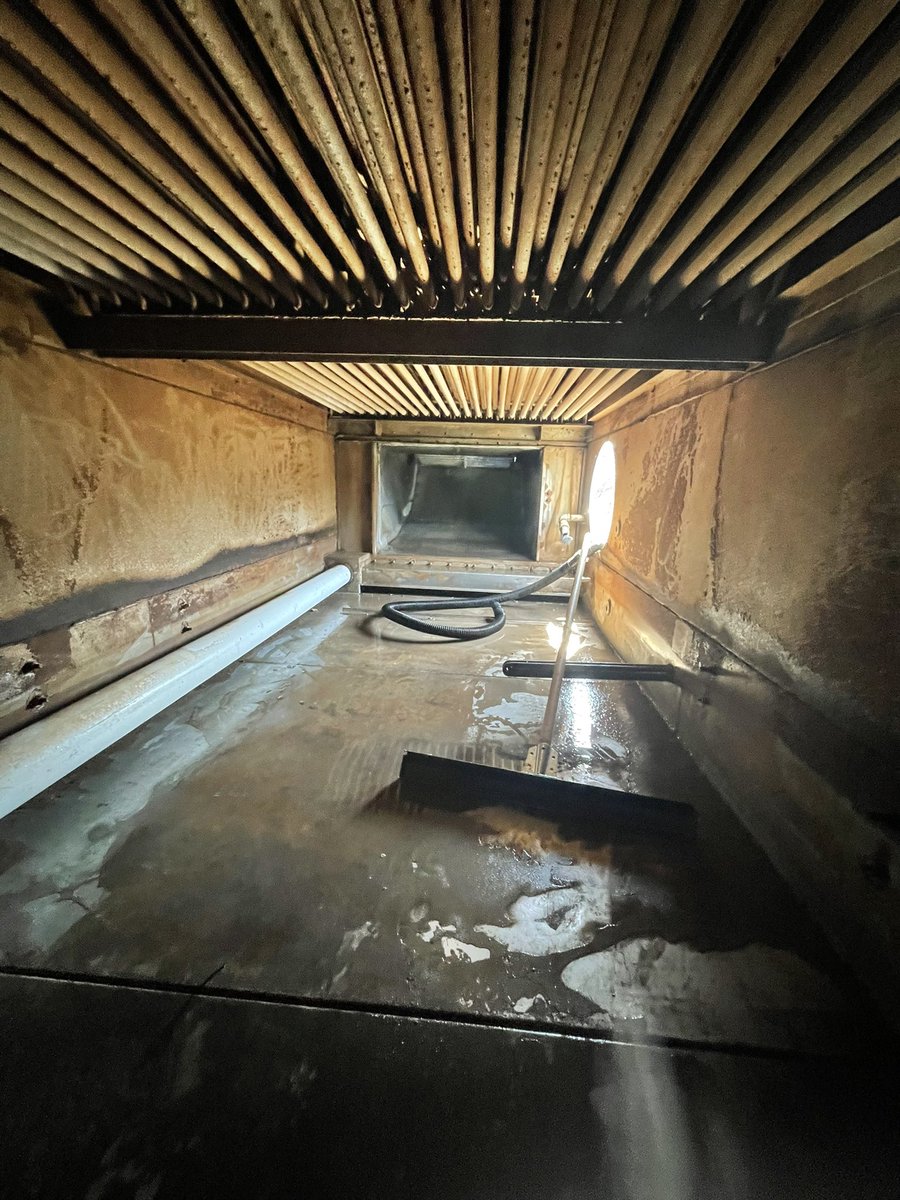 NeighbourTomm tweet media