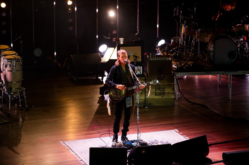 GIG GOER tweet media